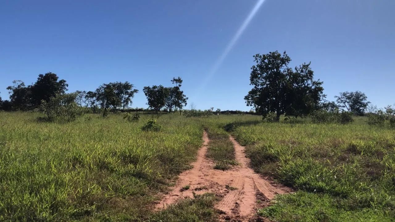 SITIO NA REGIÃO DE PRATA MINAS GERAIS  - Foto 4