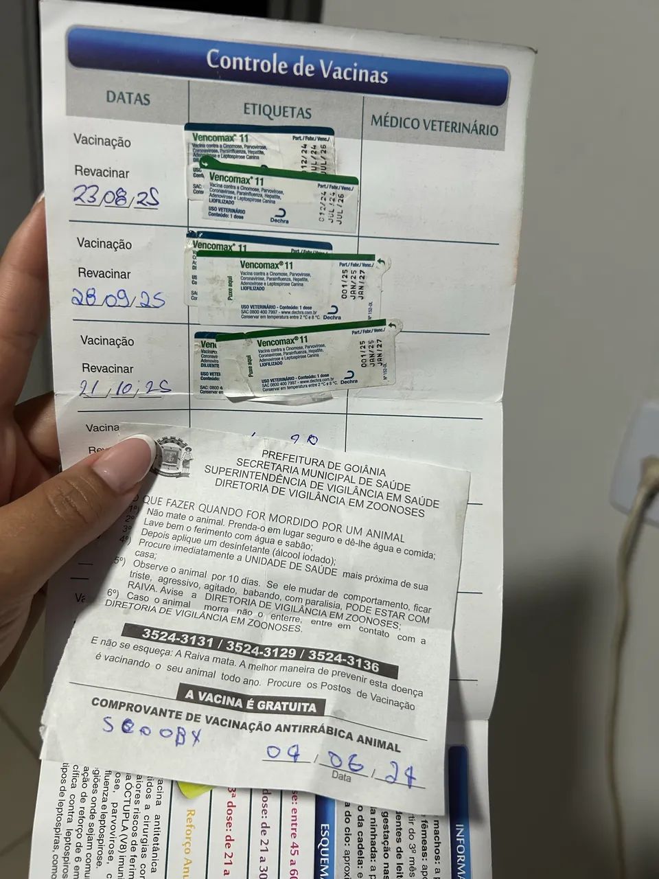 Doação  - Foto 5