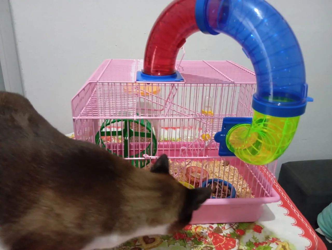 Gaiola para hamster  - Foto 4