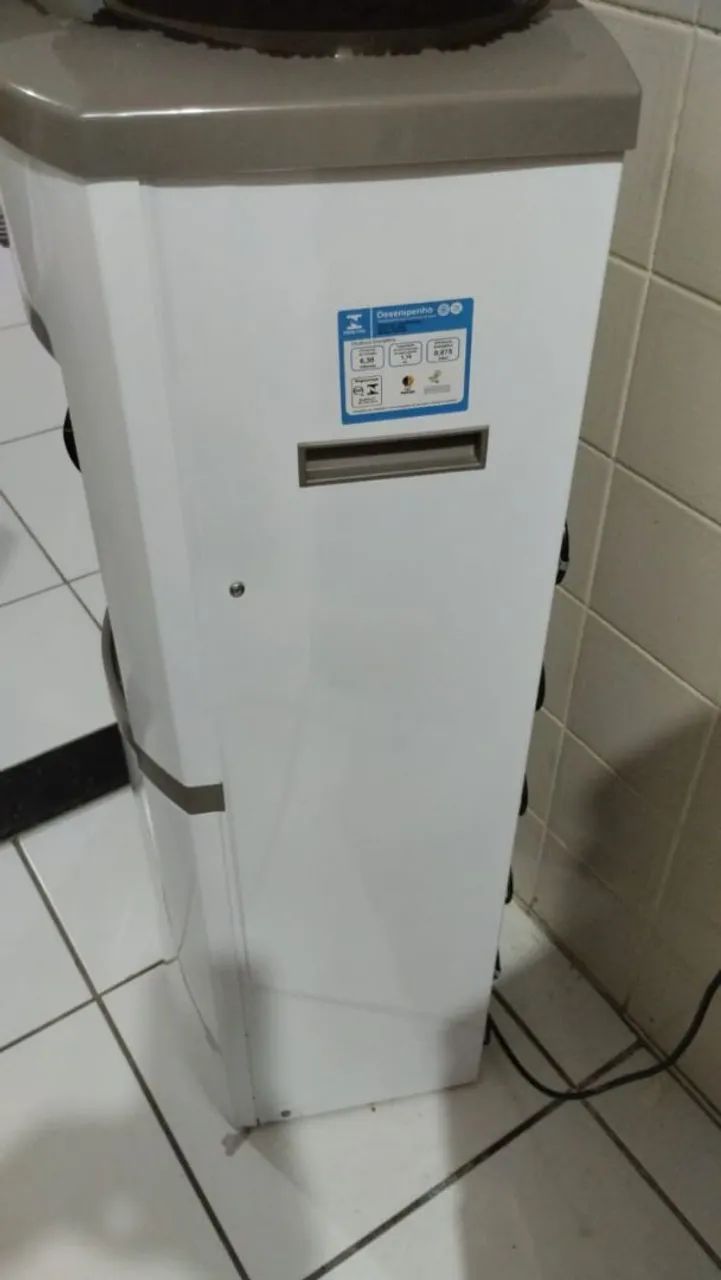 Gelagua de pé  - Foto 4
