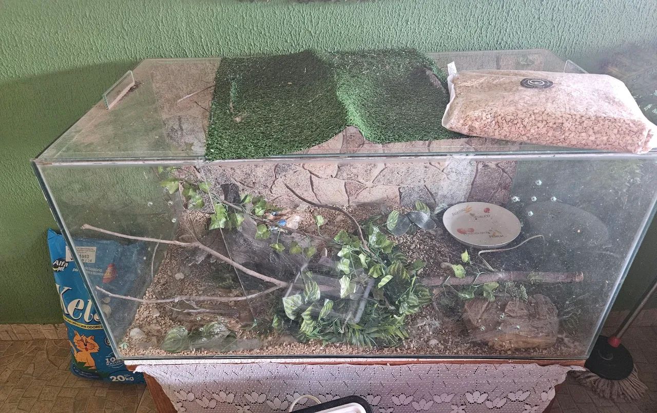 Terrario  grande