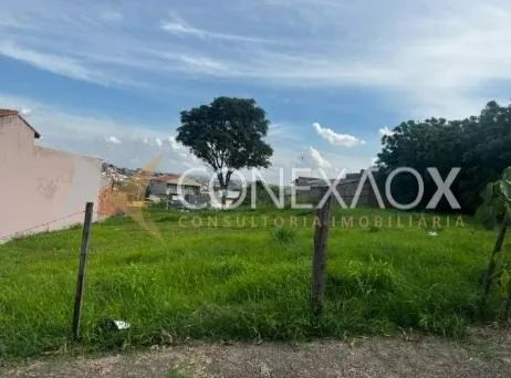 terreno - Cidade Satélite Íris - Campinas - Foto 3