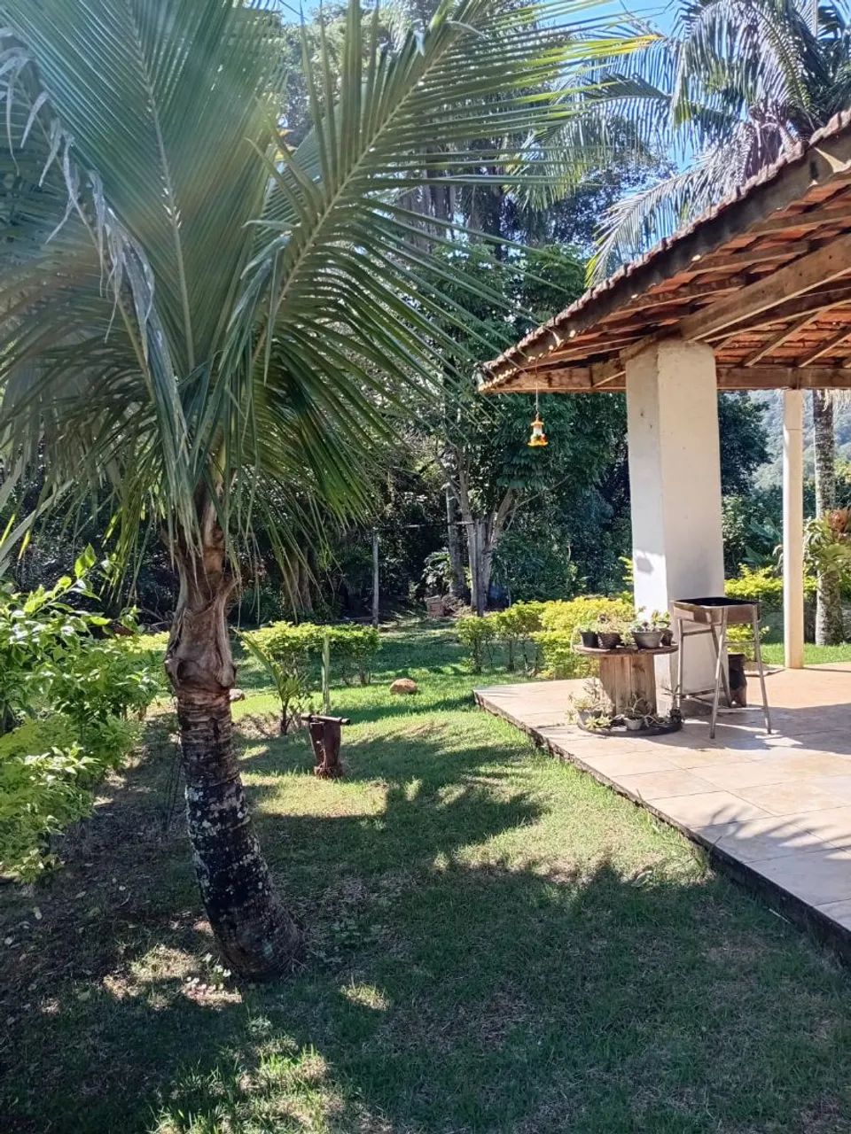 Chácaras e terrenos direto com o proprietário.  - Foto 4