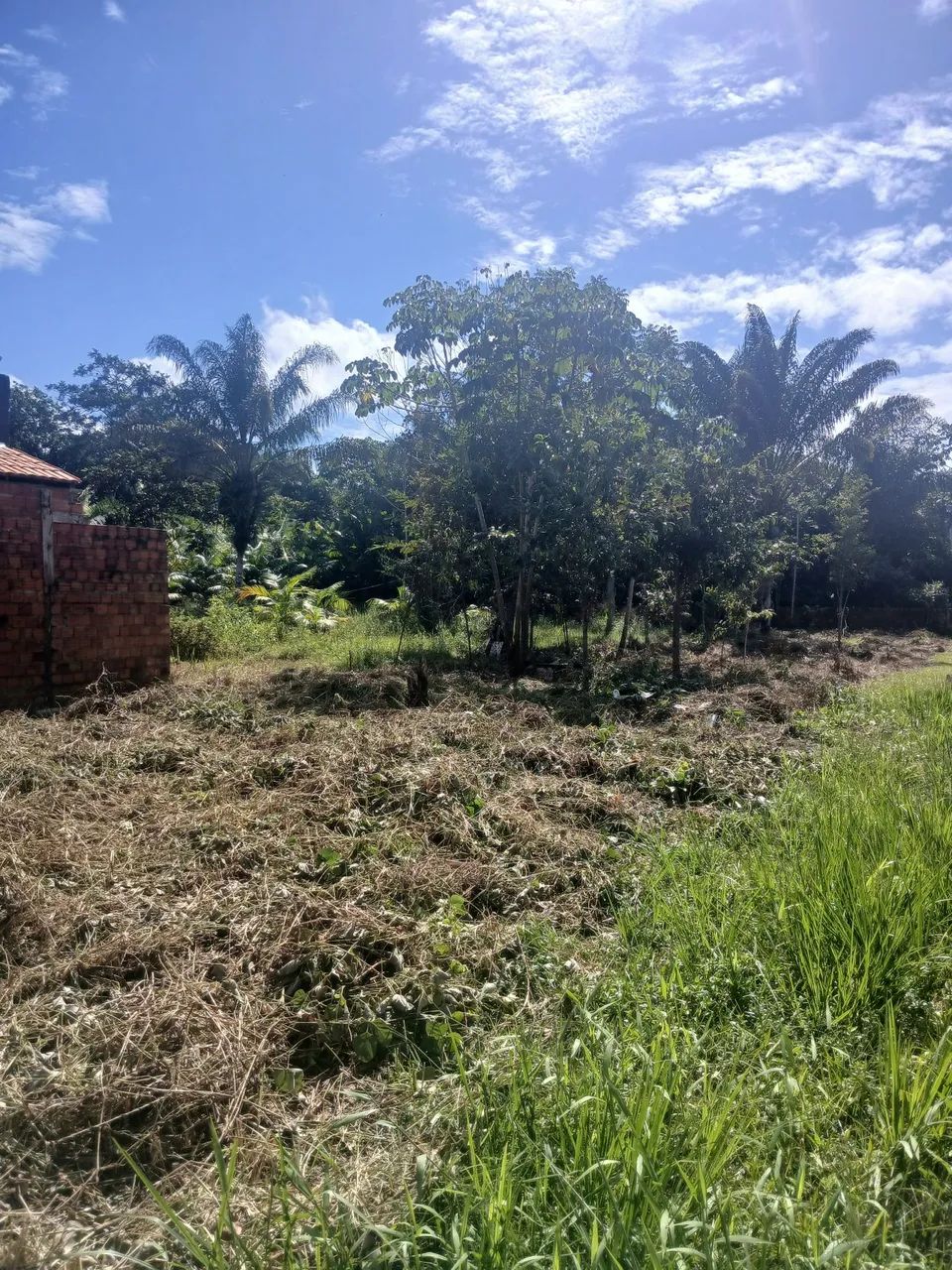 Terreno a venda Abaetetuba  - Foto 3