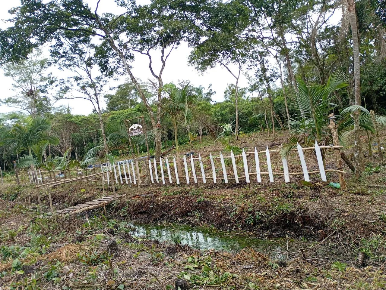 Vendo terreno em Iguape  - Foto 2