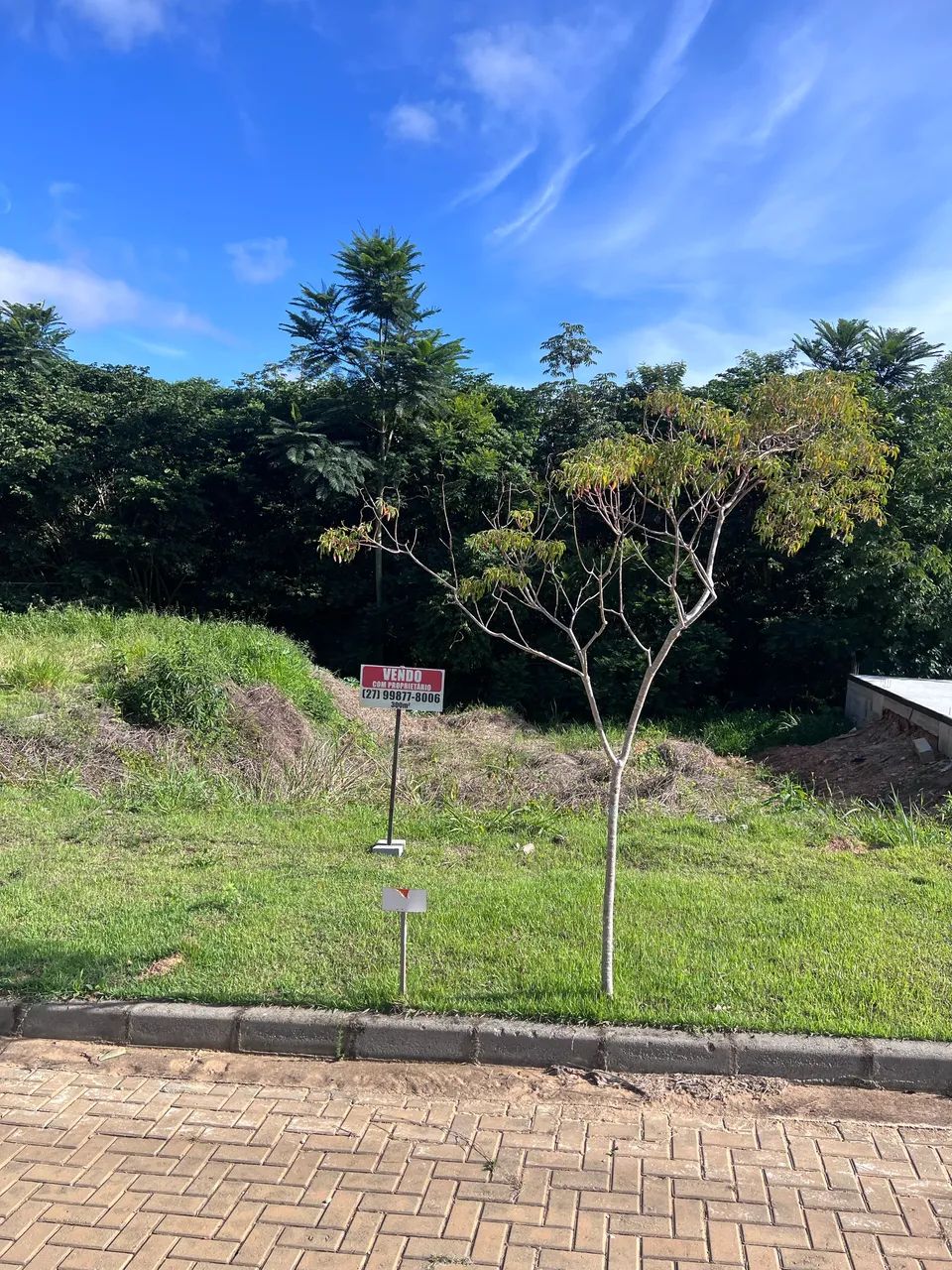 Lote Venda Nova do Imigrante  - Foto 2