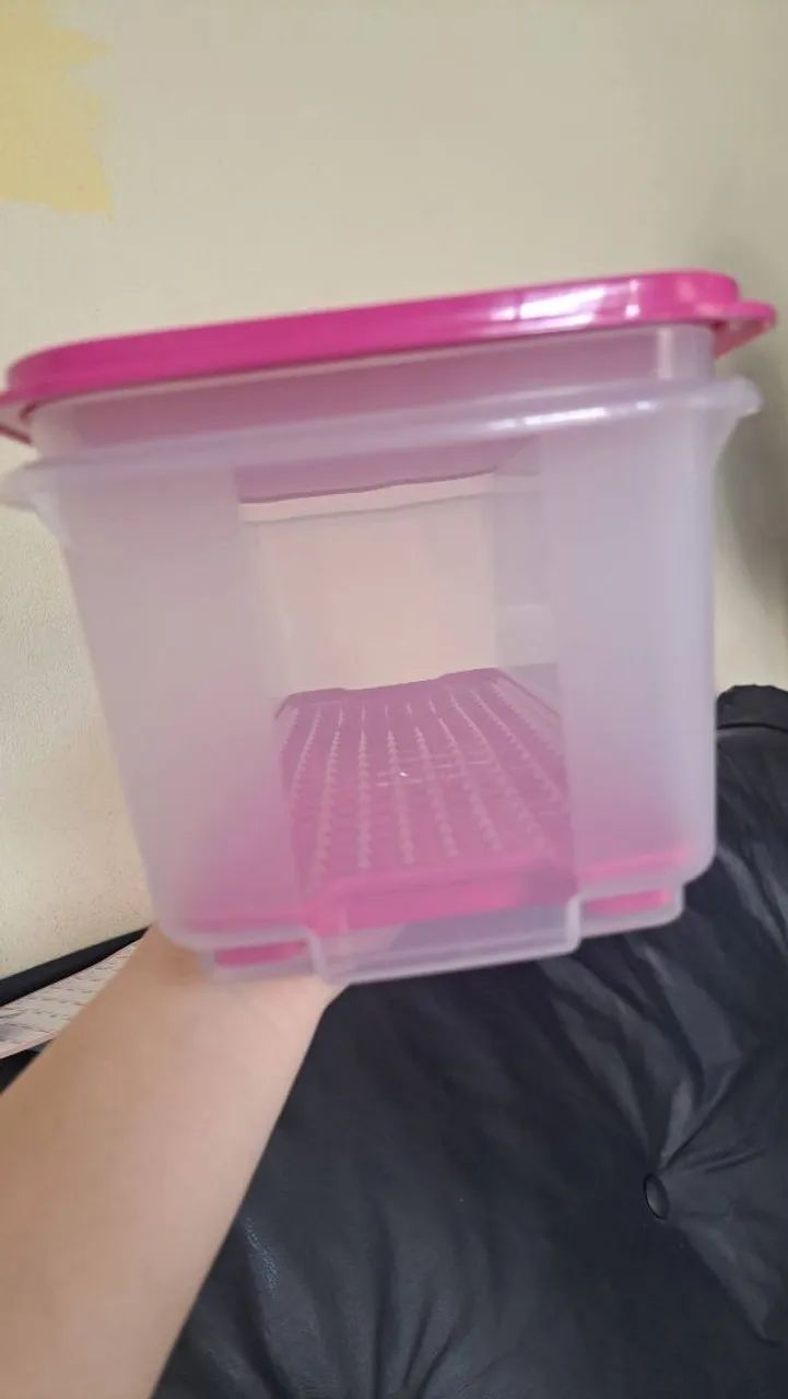 Produto  tapperware  - Foto 4