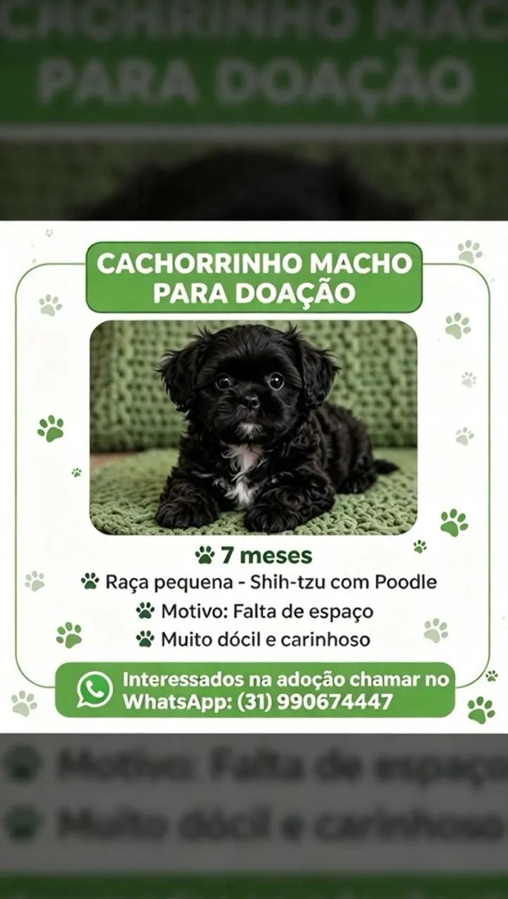 Para doação