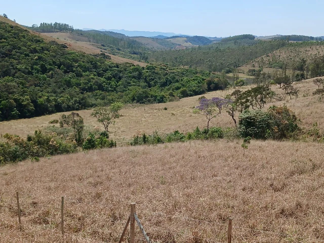Lotes de 1.000 metros. - Foto 3