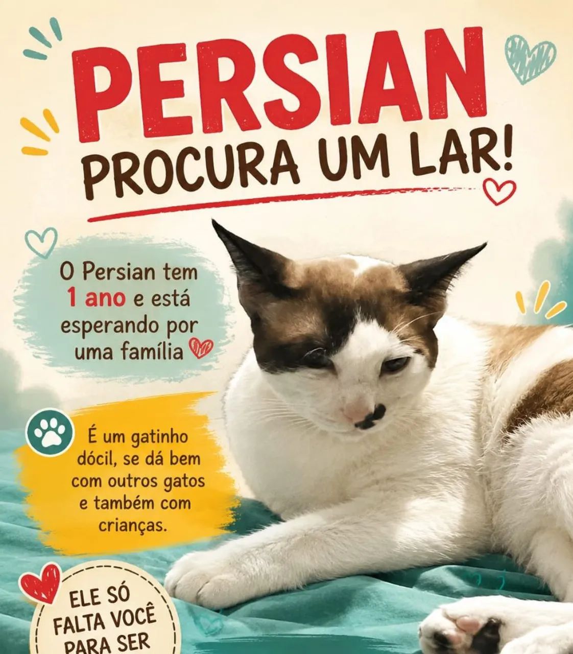 Doa-se gatinhos lindos ? - Foto 2
