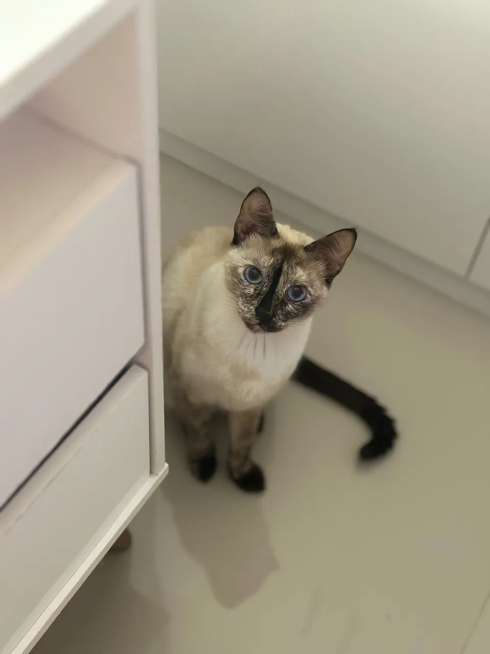 Gata 