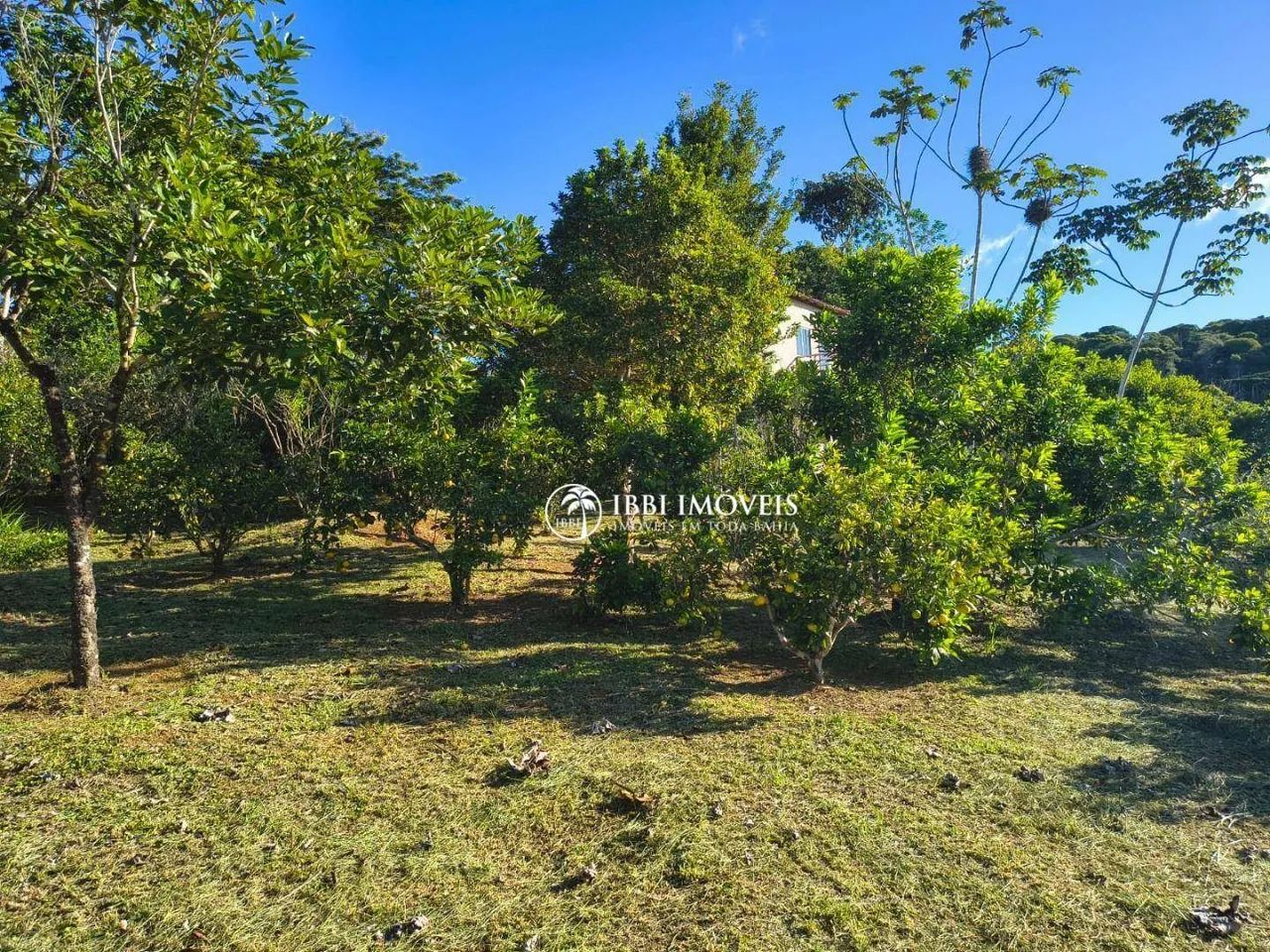 Ótimo Sitio à venda, 85.000 m², no Povoado de Tremembé - Maraú/BA