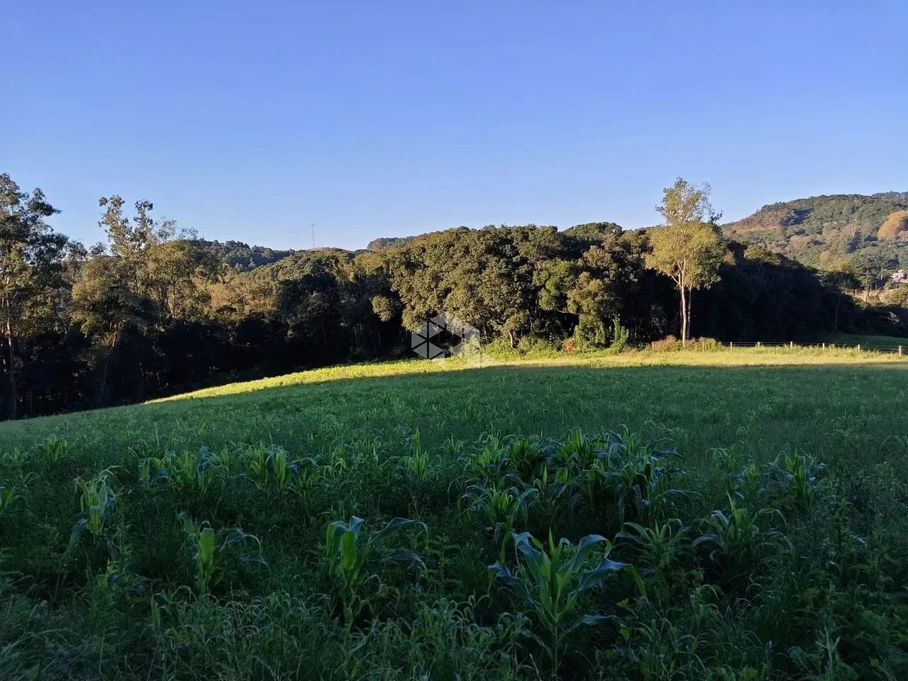 Área de terra de 02 hás agricultável - Foto 5