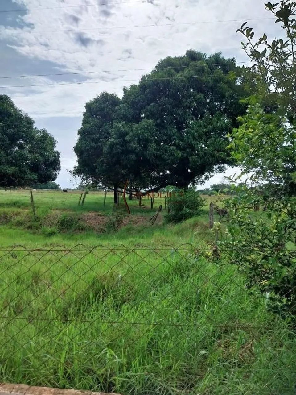 Sítio de 3 alqueires a venda em Terra Rica - PR - Foto 2