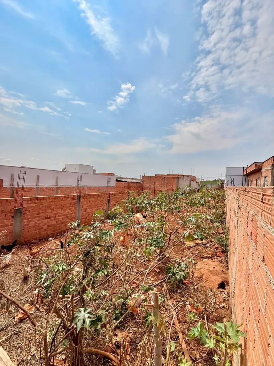 LOTE À VENDA - CAMPO VERDE - IRACEMÁPOLIS