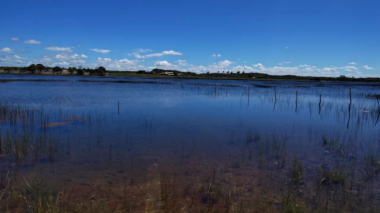 terreno lagoa tambaquis abais - Foto 3