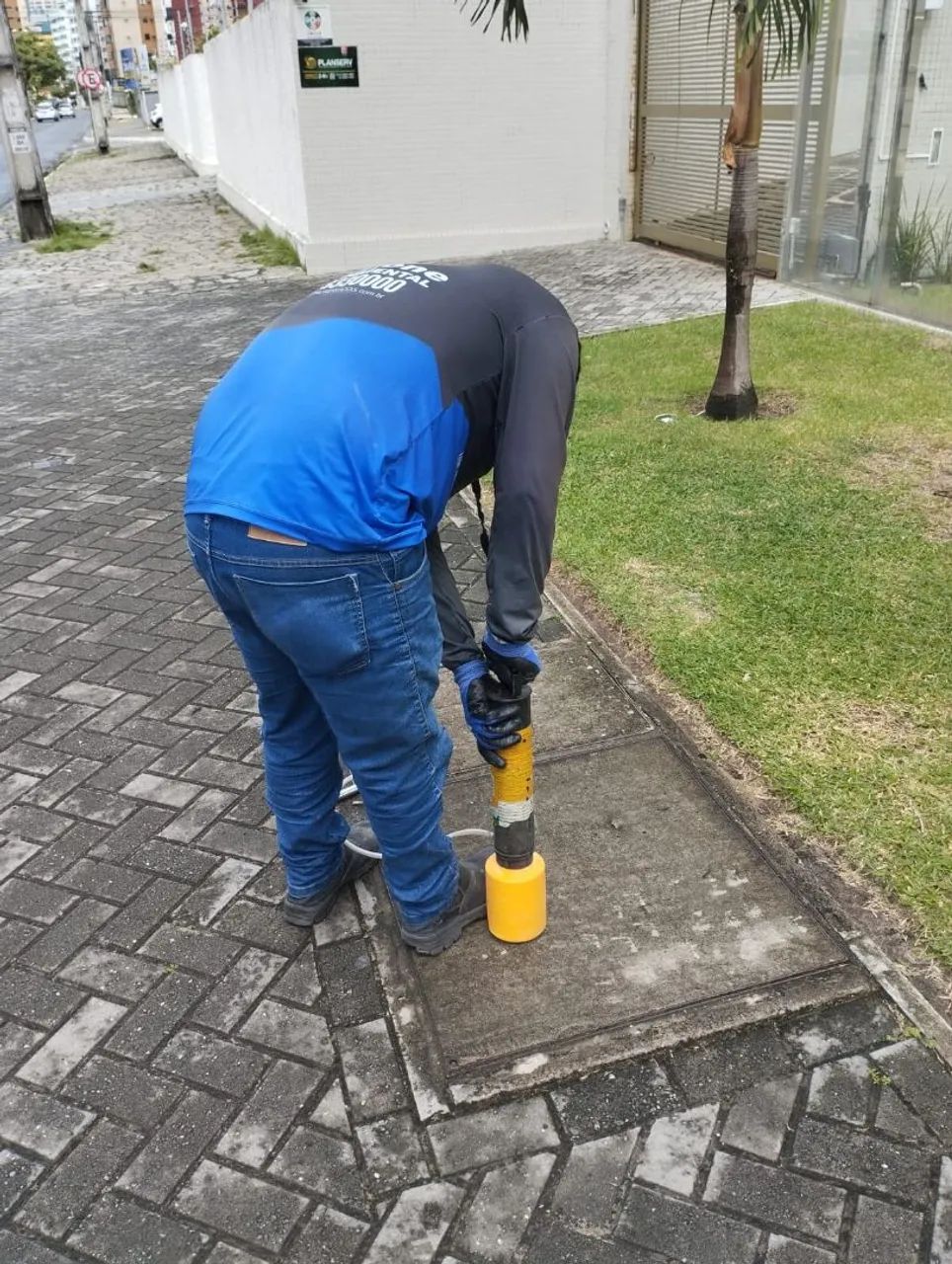 DEDETIZAÇÃO  - Foto 2