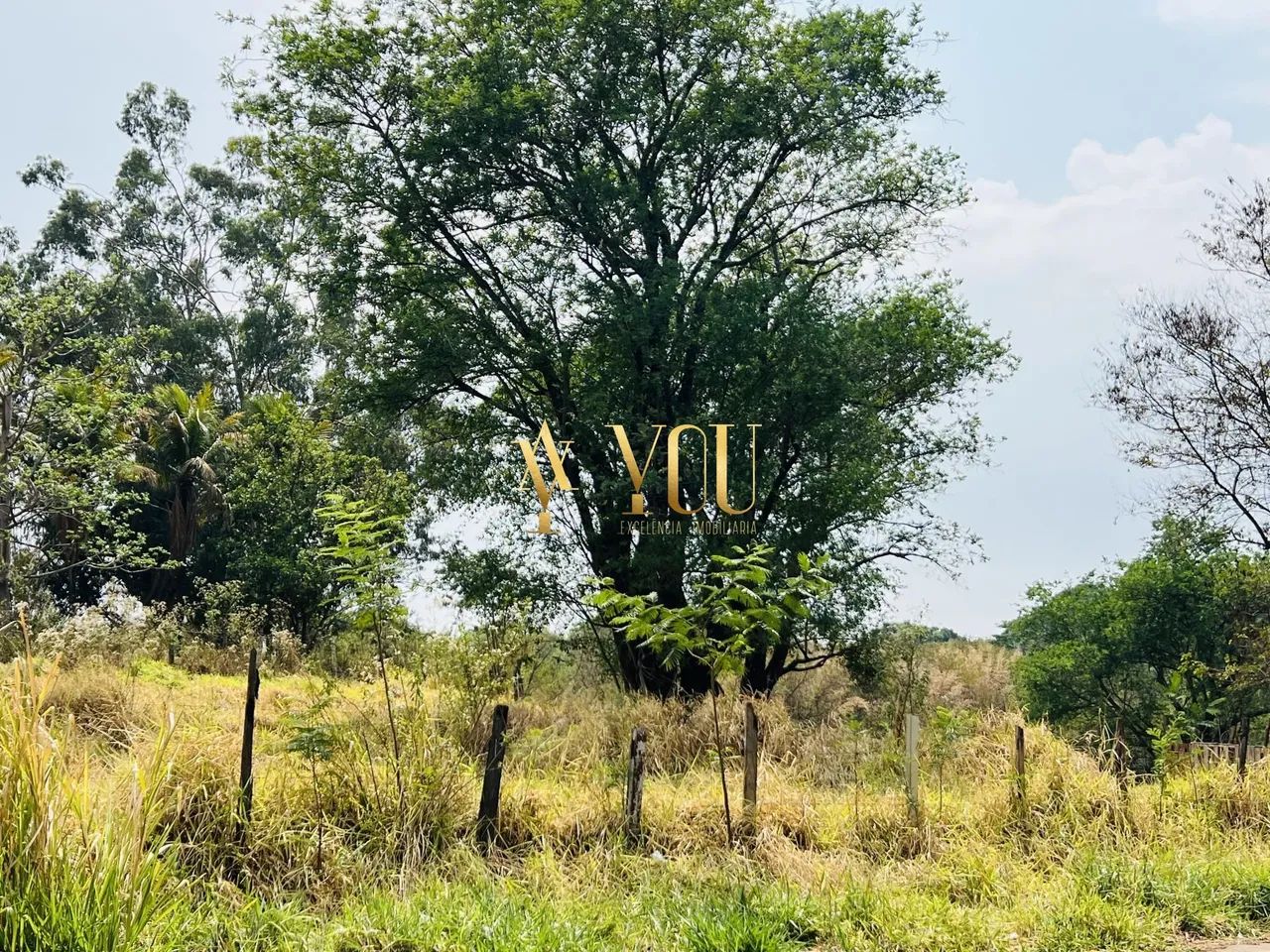 Terreno com área exclusiva e com 3.000 metros de área adensada - Foto 9