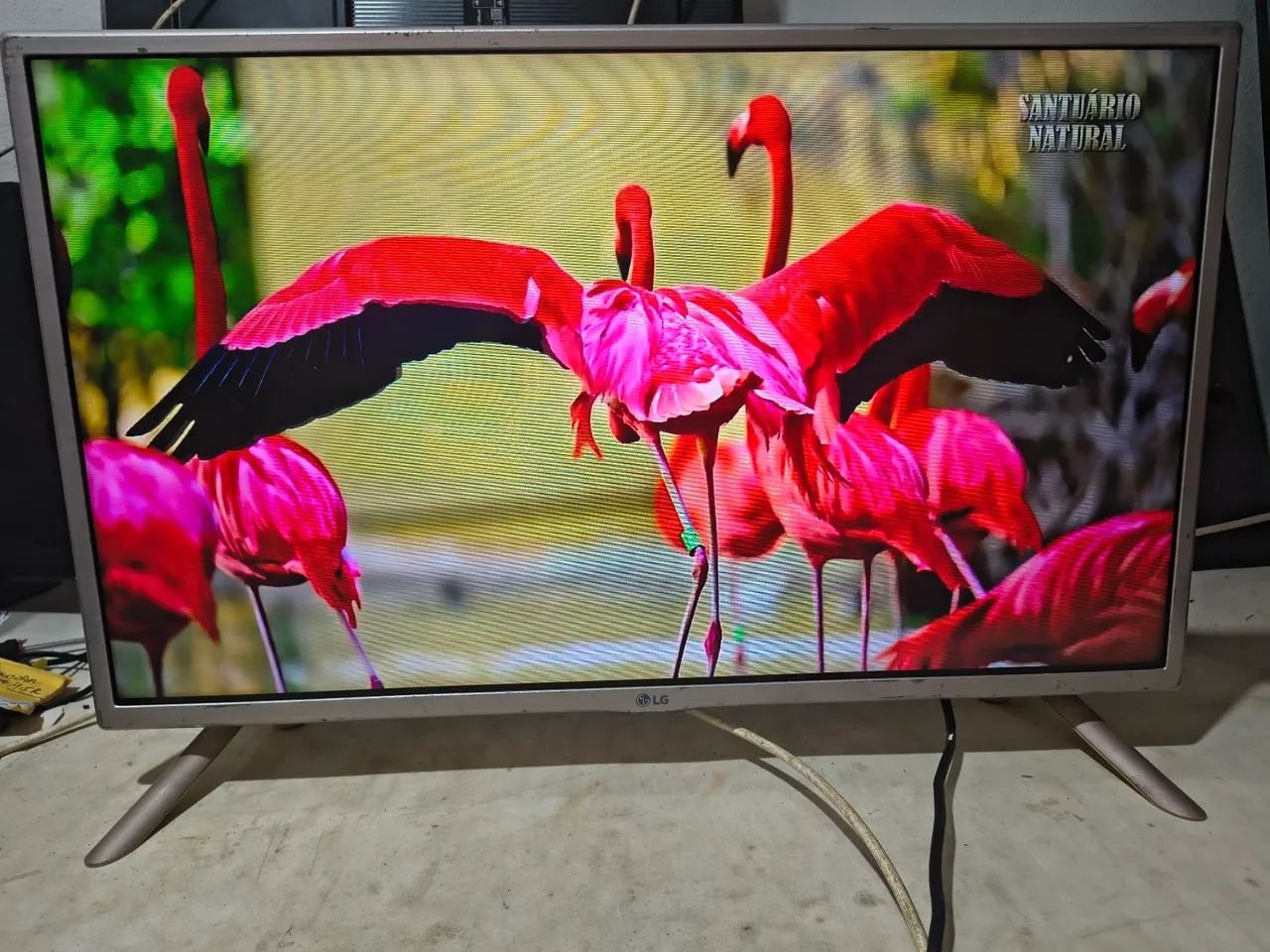 Tv  - Foto 6