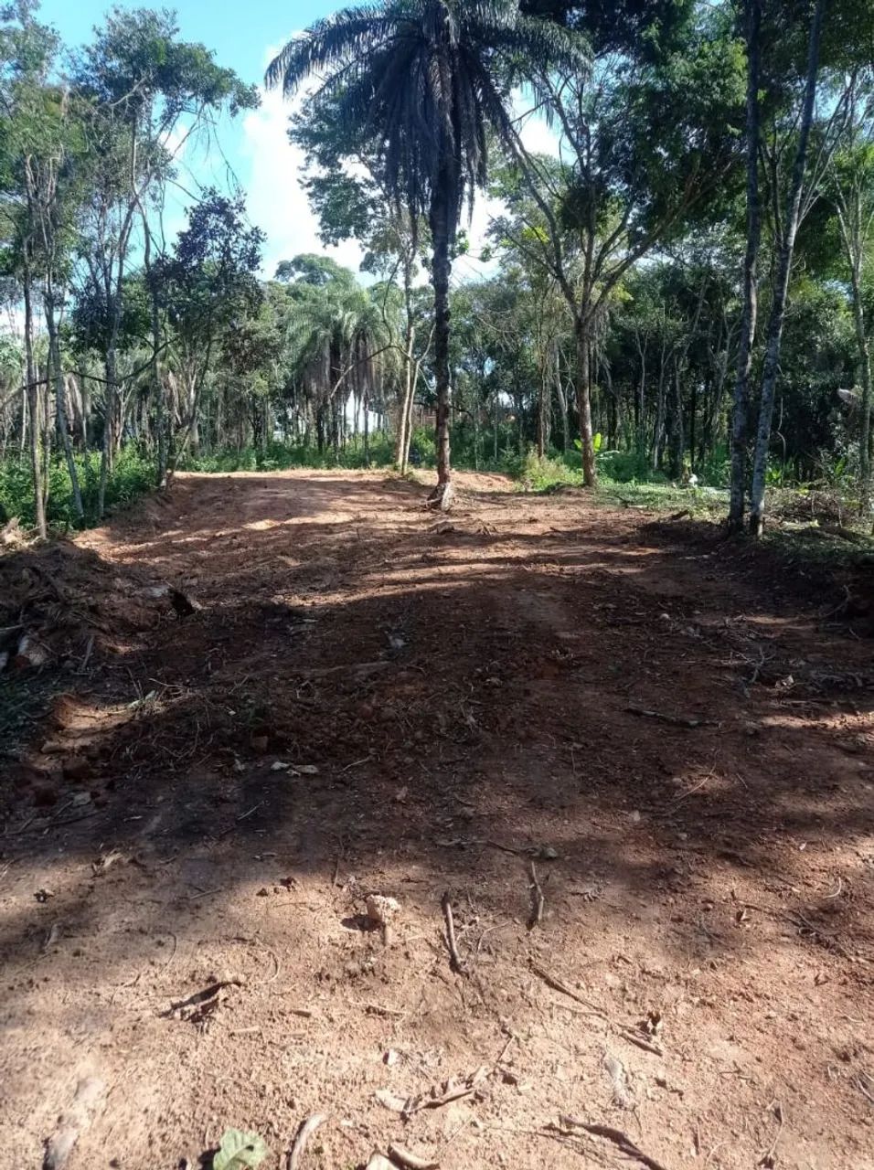 Chácara 3500 metros. - Foto 4