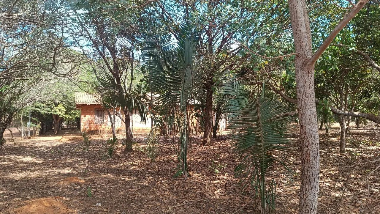 Pequeno Sítio / NÃO POSSUÍ RIACHO  - Foto 3