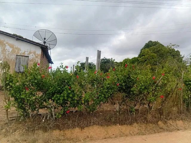 SITIO  ( OURICURI ) - FAZENDA SAO PEDRO * - Foto 4