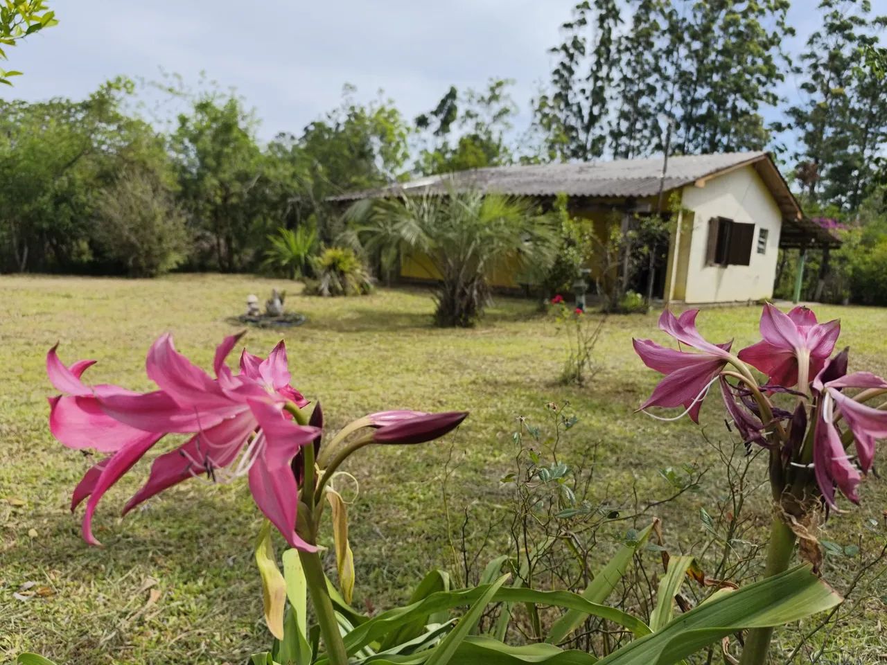 Lindo sítio no Parque Eldorado (acesso asfaltado)  - Foto 12