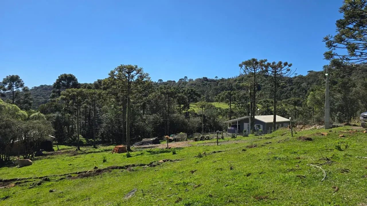 Terreno com casa e lindo riacho em Urupema - Foto 2