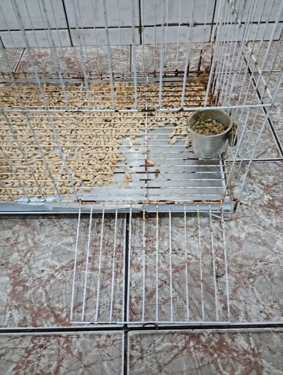 Gaiola para mini coelho/hamster - Foto 3