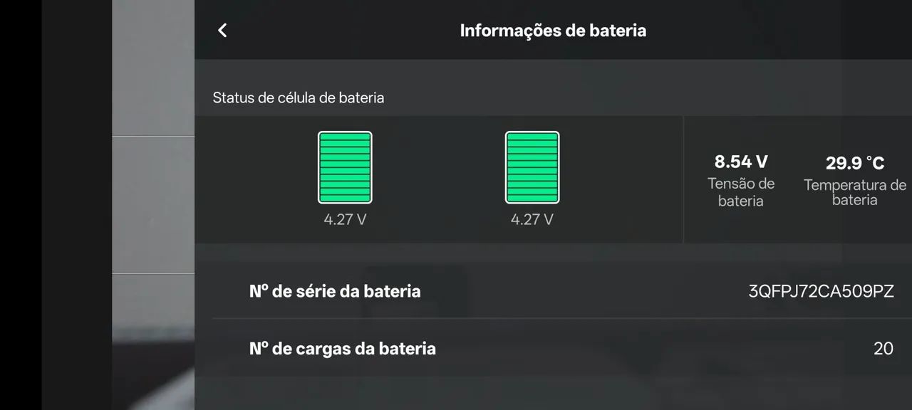 DJI Mini 2 Flymore432957866242232324