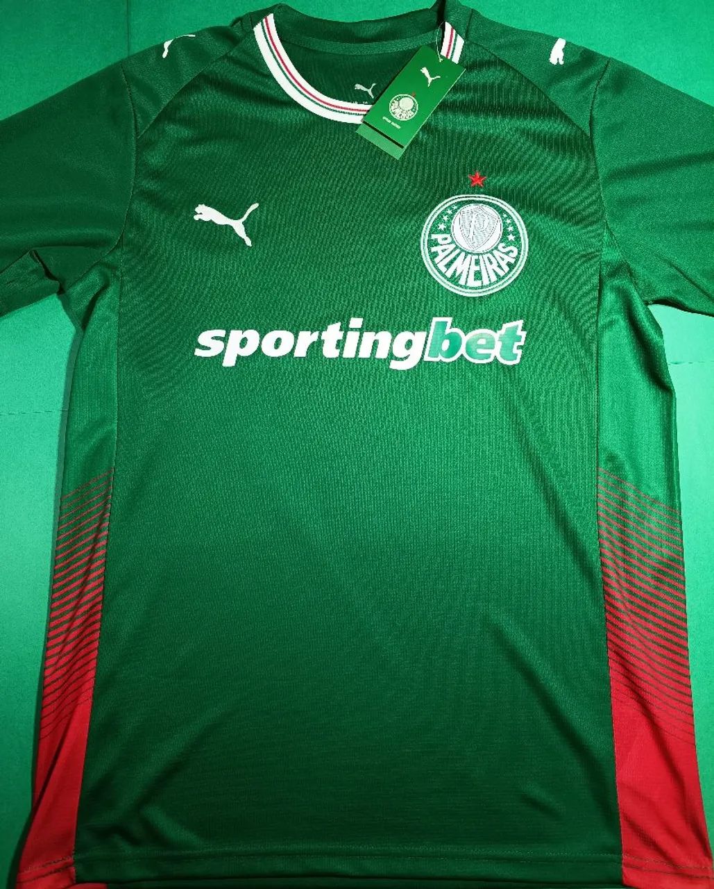 Camisa palmeiras 26/27 torcedor