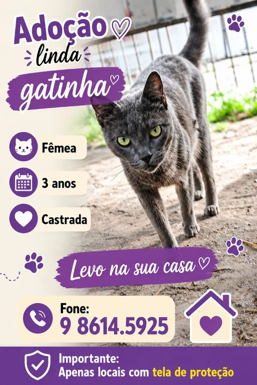 Lindos gatinhos