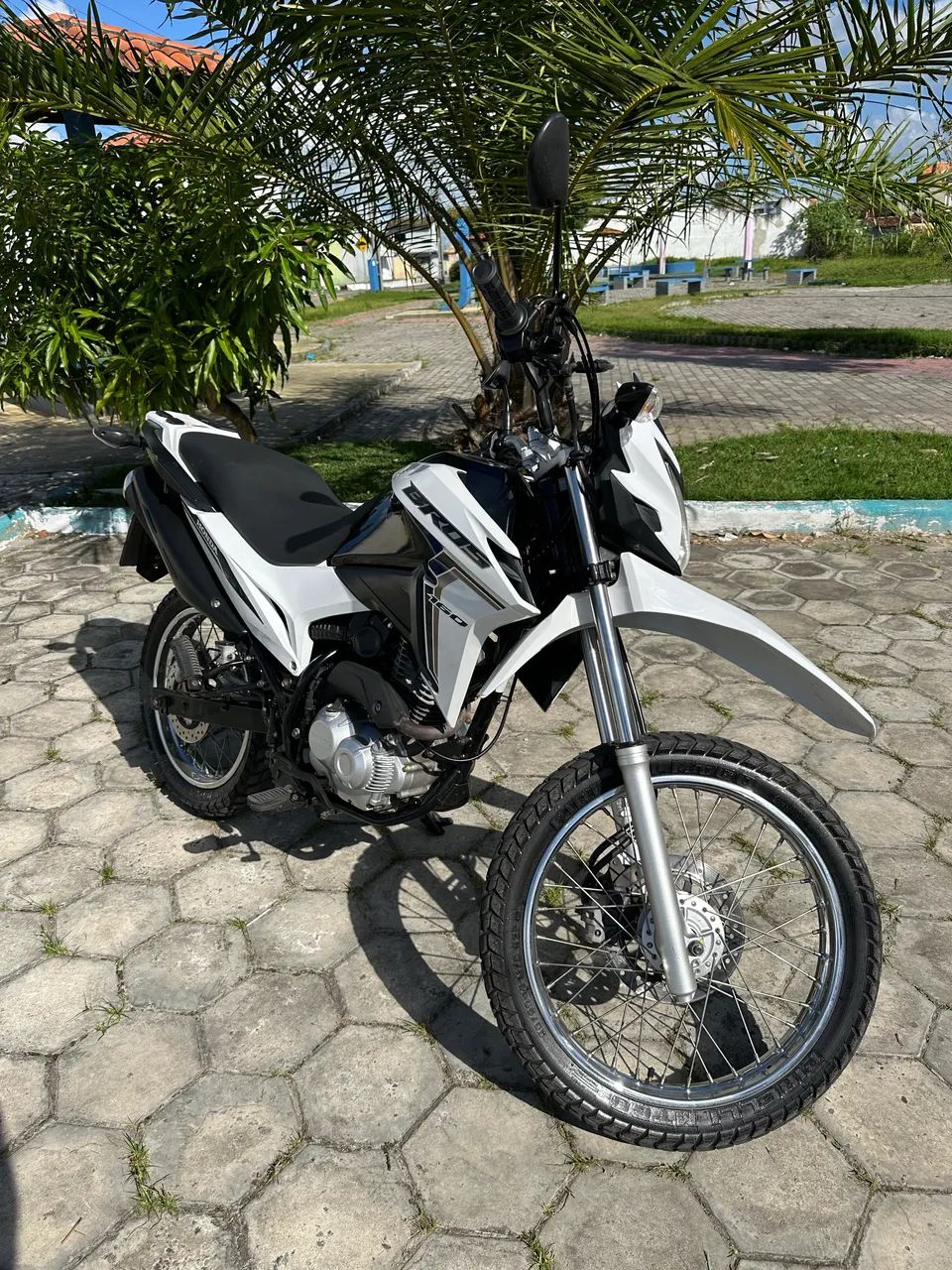 Bros 2023