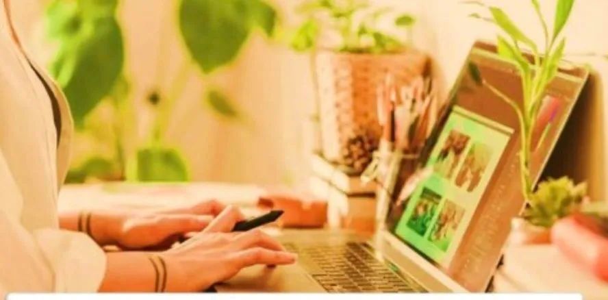 Assistente Pessoal - Secretaria particular 