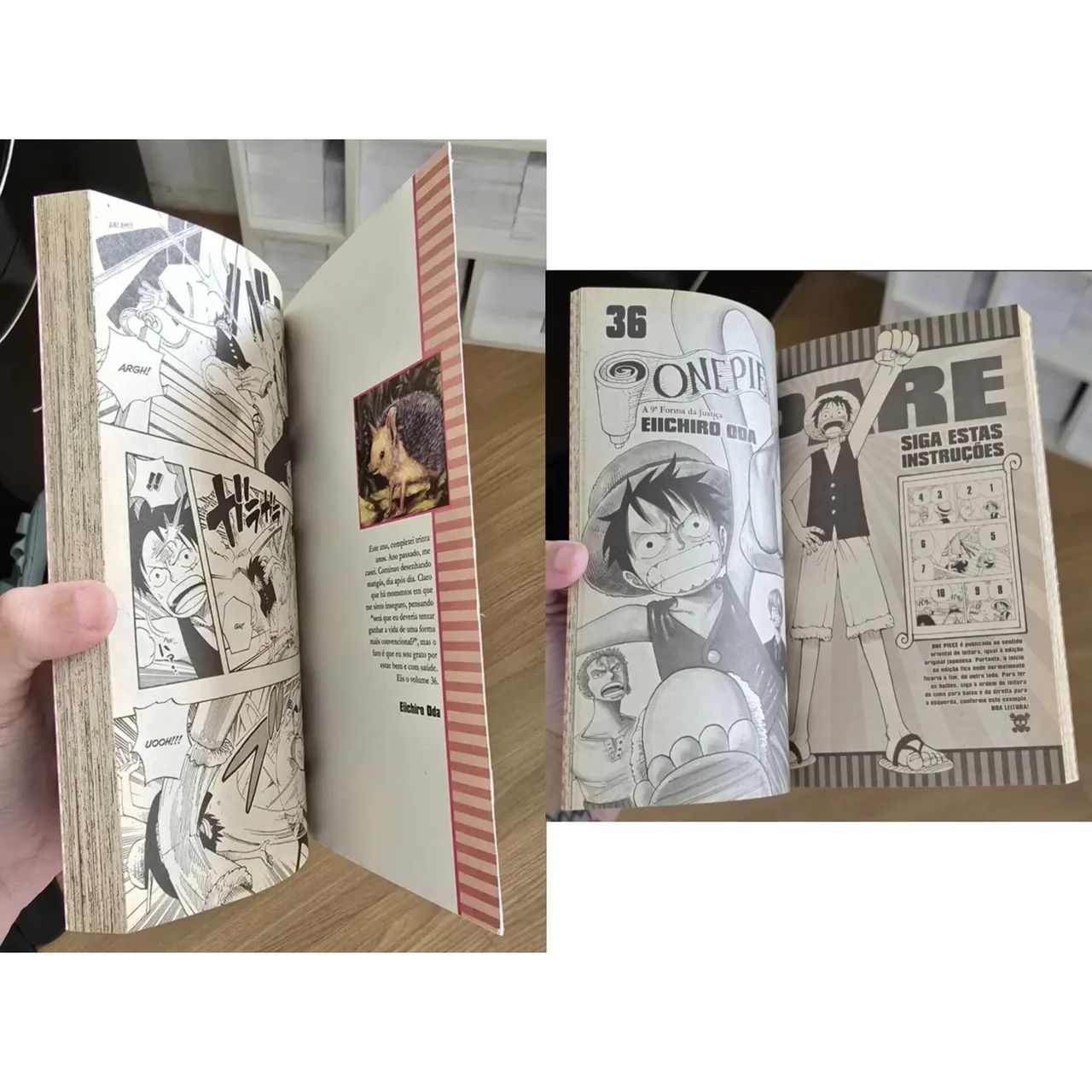 Coleção Completa One Piece + Wanted + Databooks + Episode A