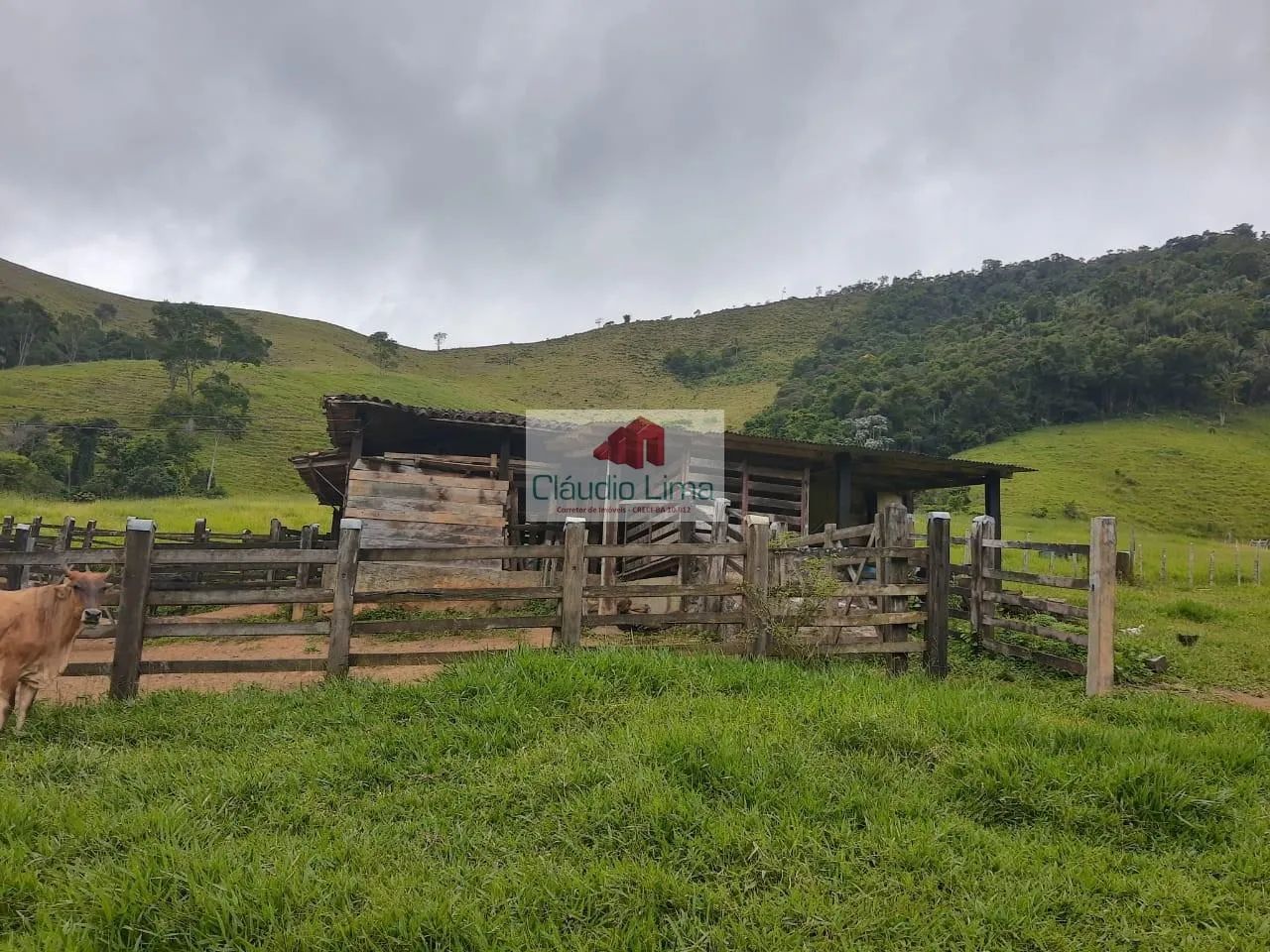 Fazenda com 535 ha em Iguaí-BA - Foto 5