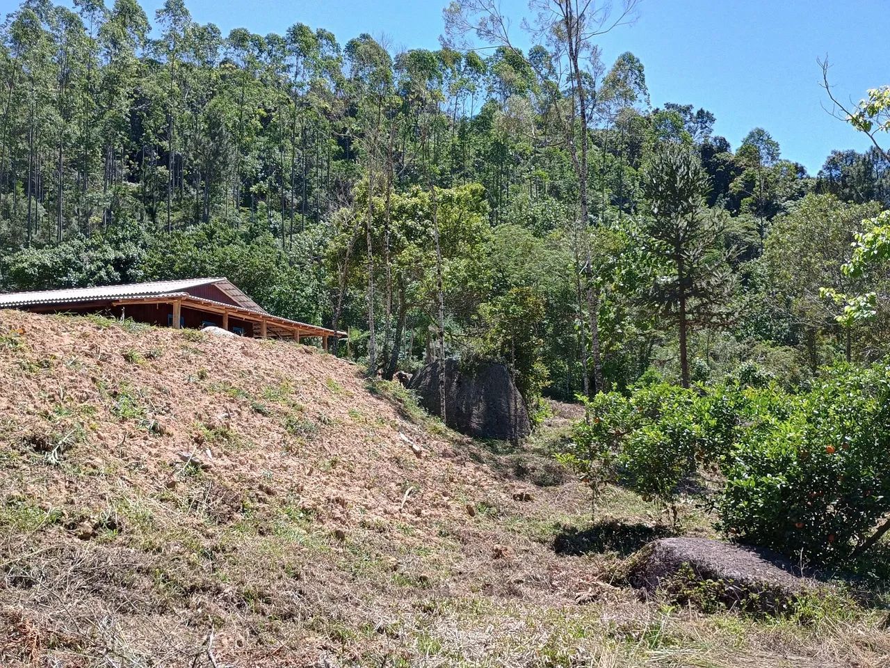 ANITÁPOLIS/SC - Lindo sítio pronto para morar 3hectares  - Foto 4