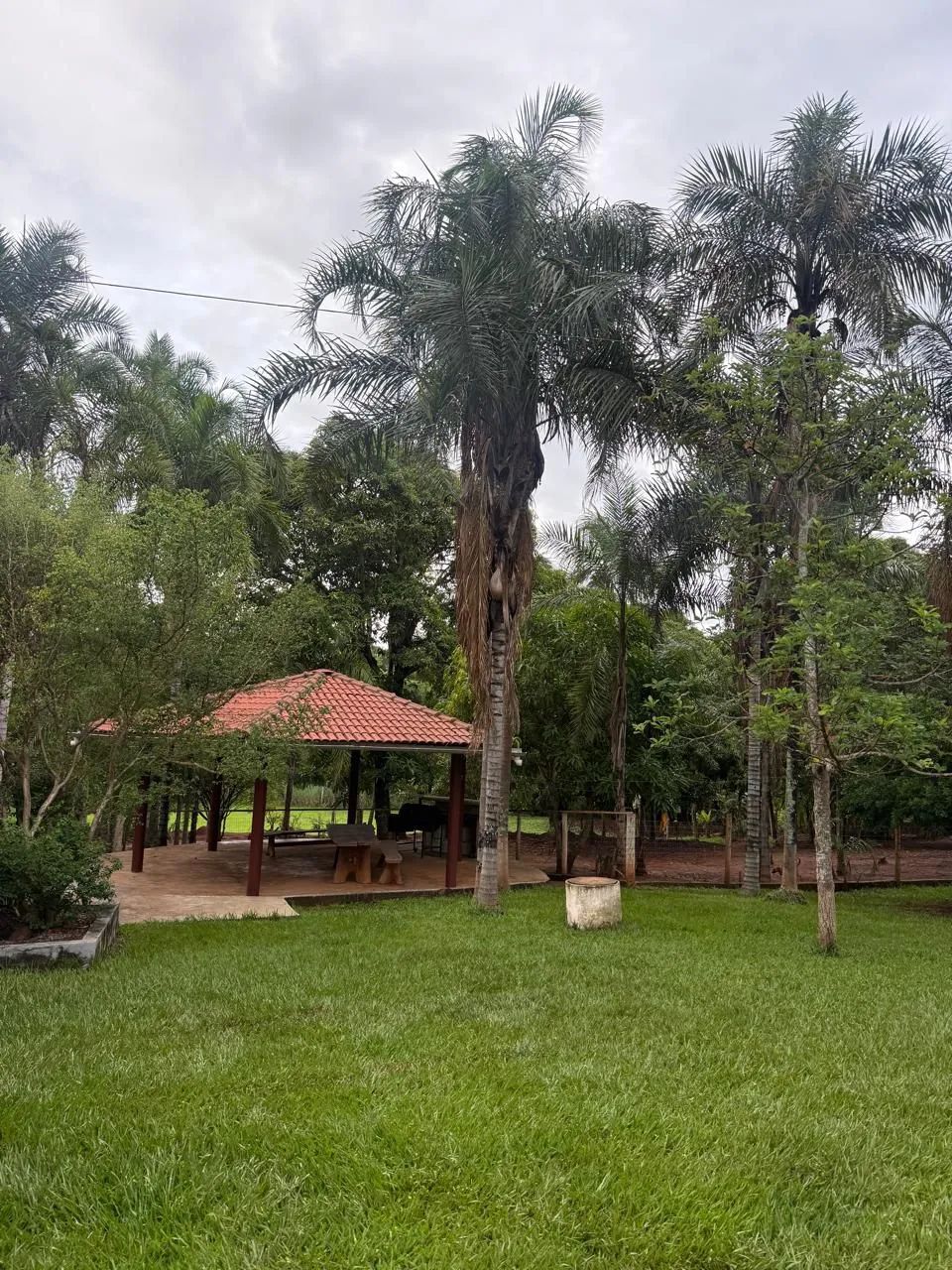 Chácara - Anicuns - Foto 3