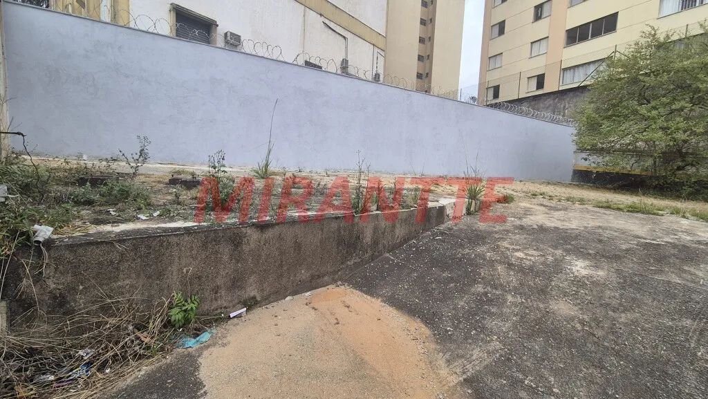 Terreno em Vila Nova Mazzei - Foto 4