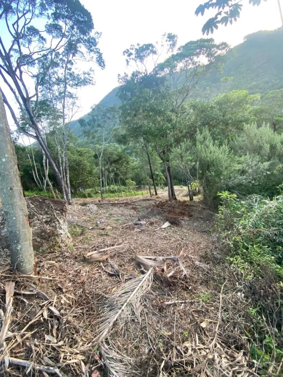 Terreno com bela vista em PAULO LOPES!! - Foto 3