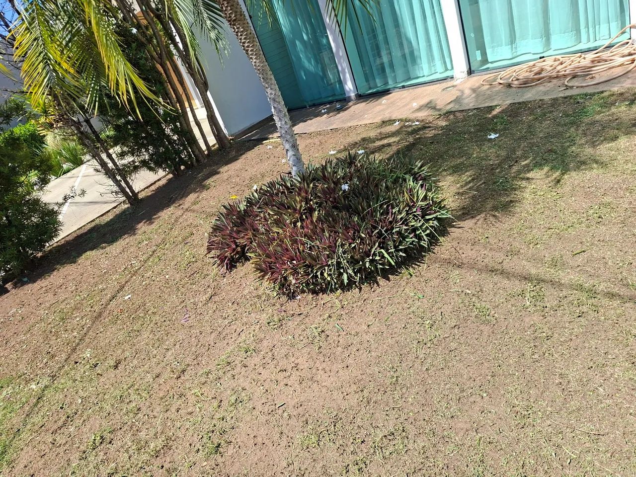 Jardinagens e Manutenções em geral. - Foto 3