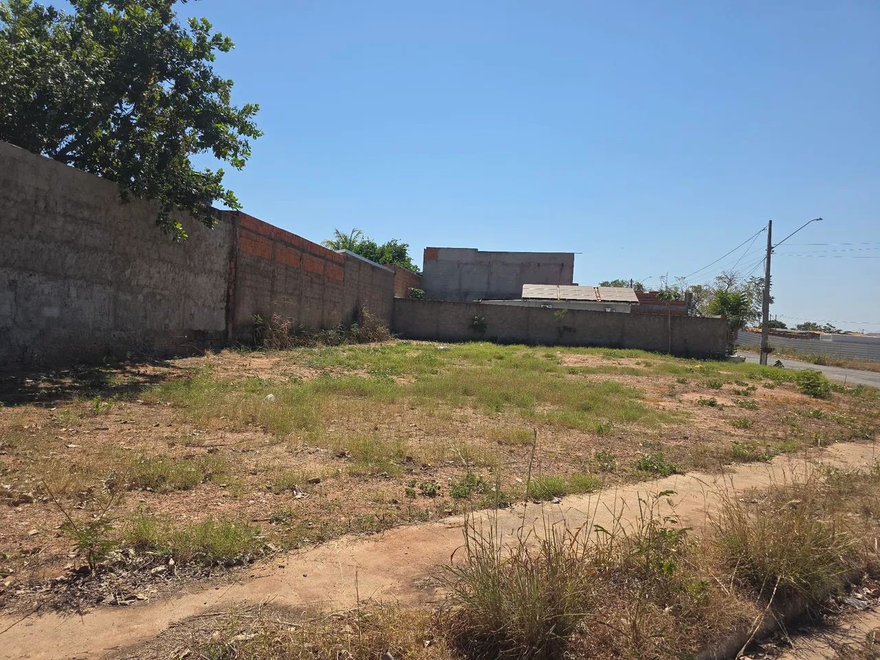 Terreno.  Lote. Imperdivel. Casa - Foto 4