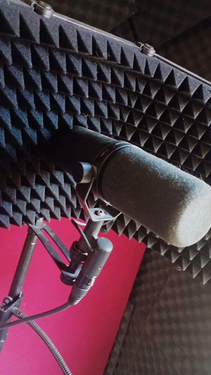 Microfone Shure sm7b 