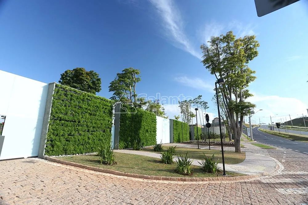 terreno - Loteamento Residencial Pedra Alta (Sousas) - Campinas - Foto 5
