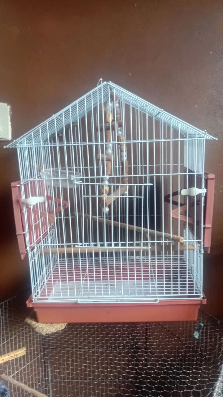 Gaiola de ferro para calopsitas - Foto 2