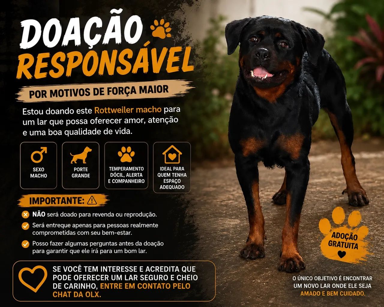 Doação 