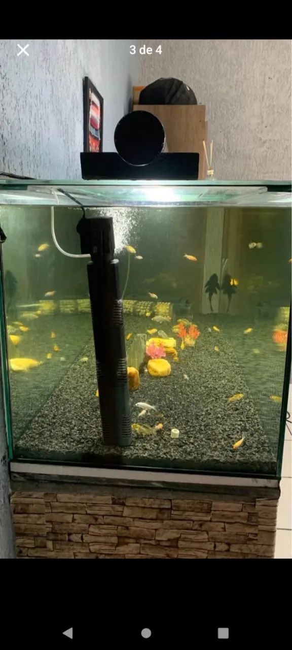Aquário 150x50x50 de altura 375 litros   - Foto 3