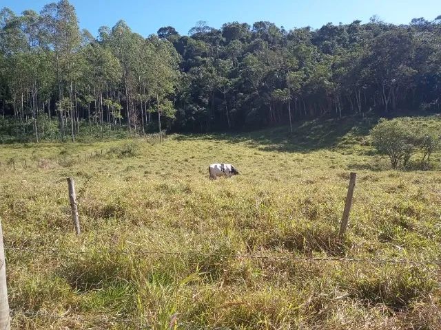 Sítio em Olaria MG - Foto 5