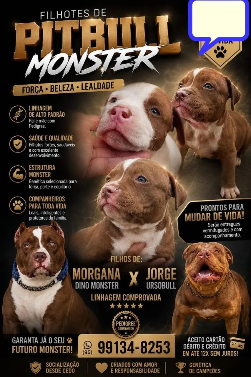 PITMOSTER COM PEDIGREE