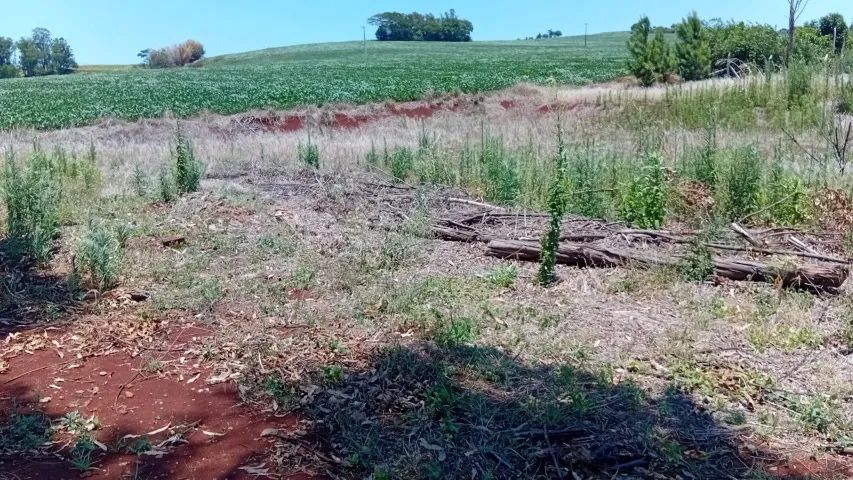 TERRENO EM AQUIDABAN - Foto 4
